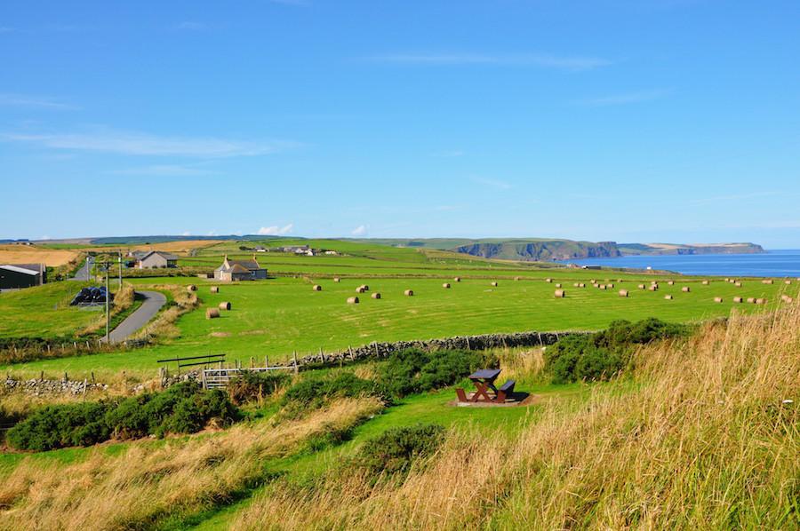 Summer_fields_near_Rosehearty_Aberdeenshire_Scotland_-_pomprint