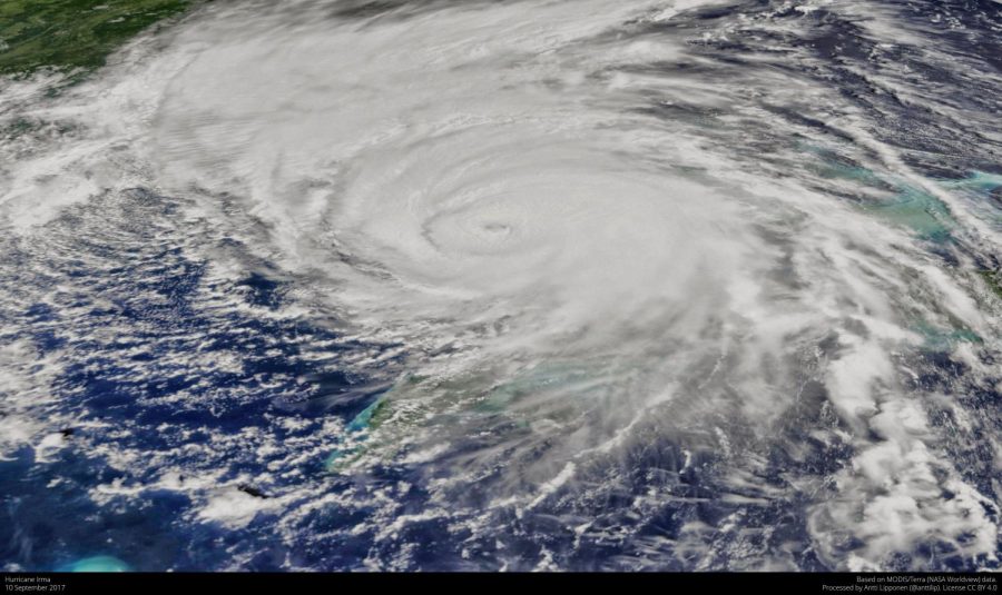 Image showcasing Hurricane Irma