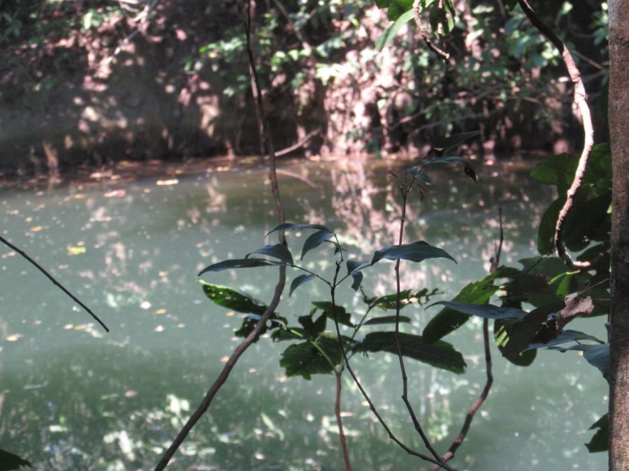 Lake in Estância da Mimosa