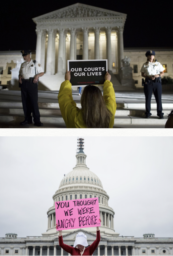 Kavanaugh+and+Kava-nope