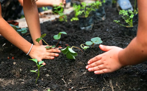 The Greenprint: Building a Sustainable Graded